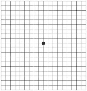 Amsler Grid Testi Şeması - Hermoda Gözlük
