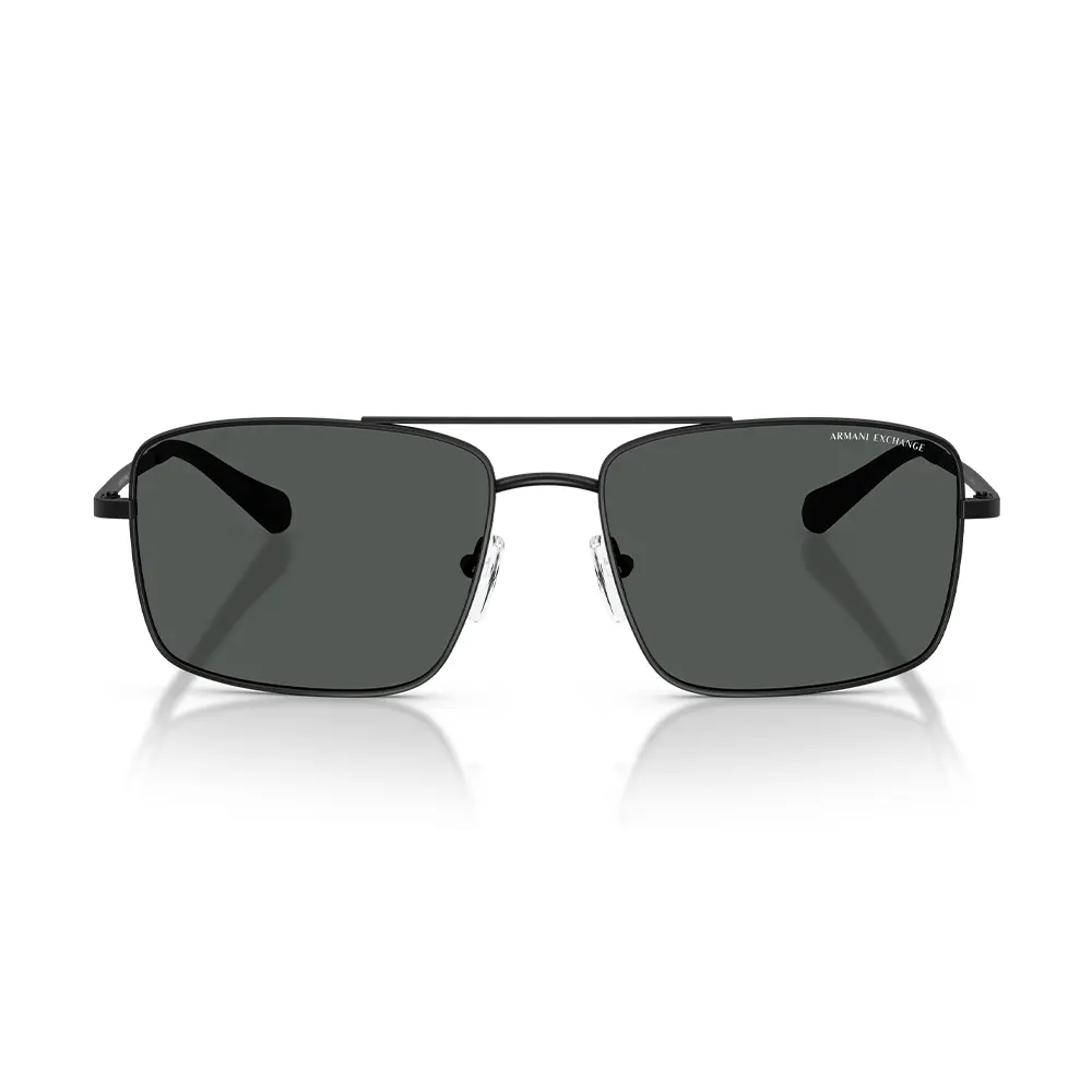 Armani Exchange Güneş Gözlüğü AX2054S 6000/87