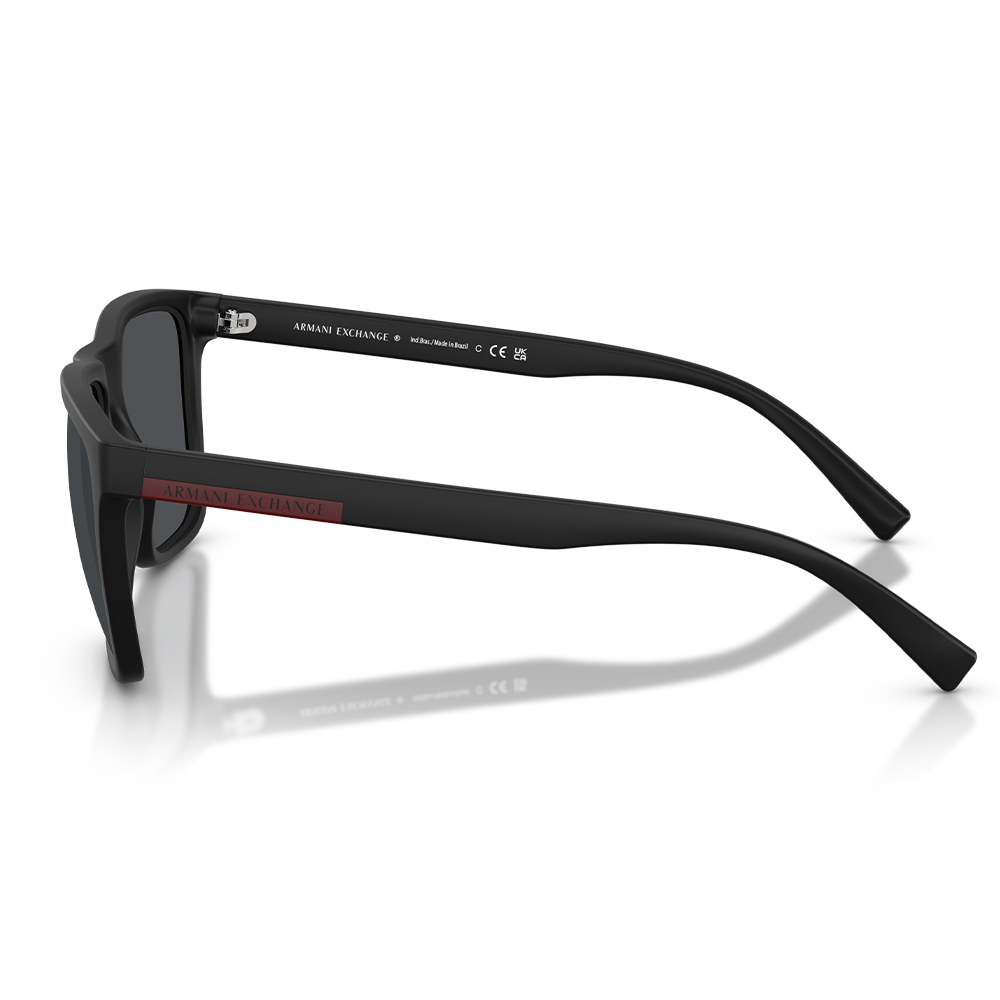  Armani Exchange Güneş Gözlüğü AX4080S 80786G