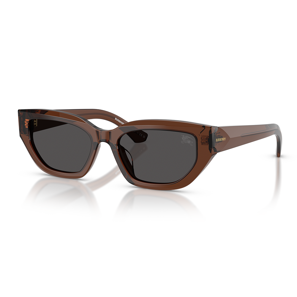 Burberry Güneş Gözlüğü B4463-D 4116/87