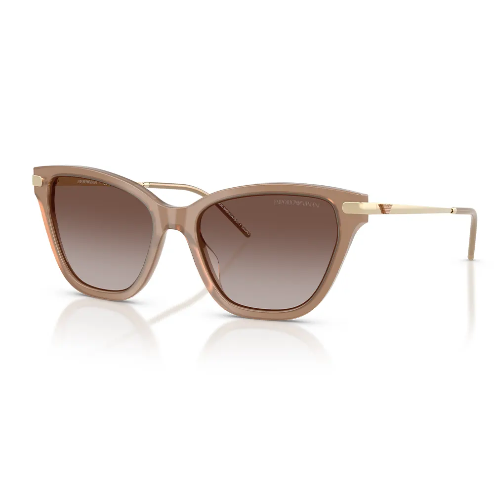 Emporio Armani Güneş Gözlüğü EA4251 6263/13