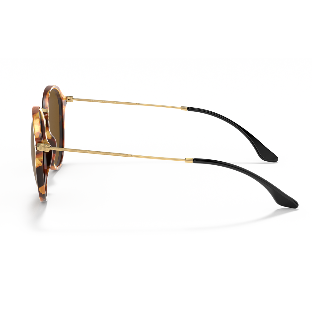 Ray-Ban RB 2447 1160 Unisex Güneş Gözlüğü