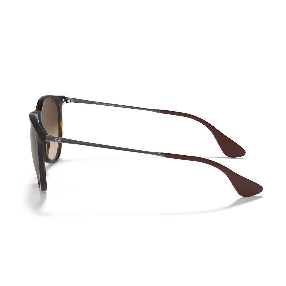 Ray-Ban RB4171 865/13 Unisex Güneş Gözlüğü (Erika)