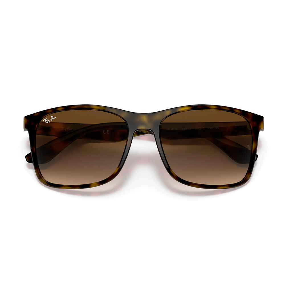 Ray-Ban RB 4232 710/13 Erkek Güneş Gözlüğü