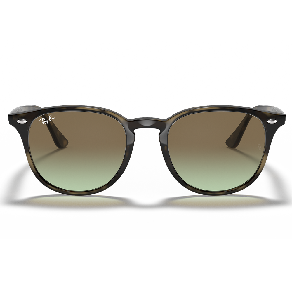 Ray-Ban RB 4259 731/E8 Unisex Güneş Gözlüğü