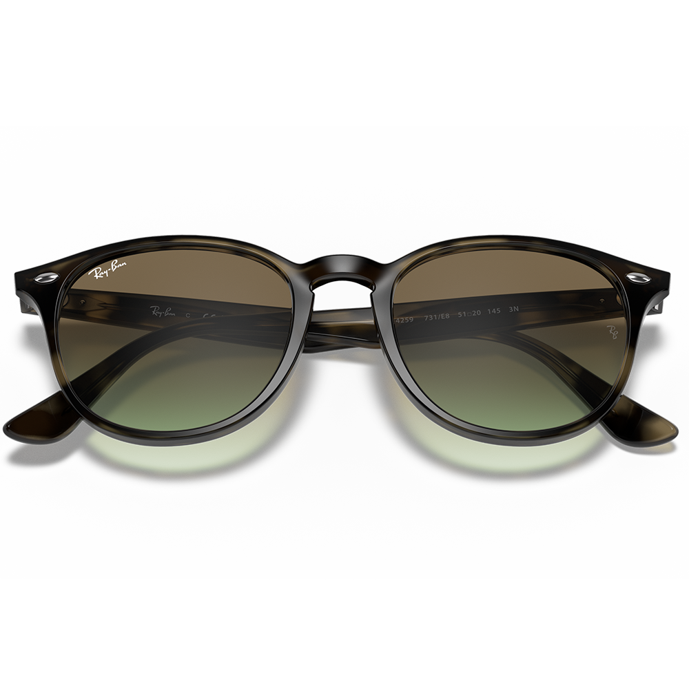 Ray-Ban RB 4259 731/E8 Unisex Güneş Gözlüğü
