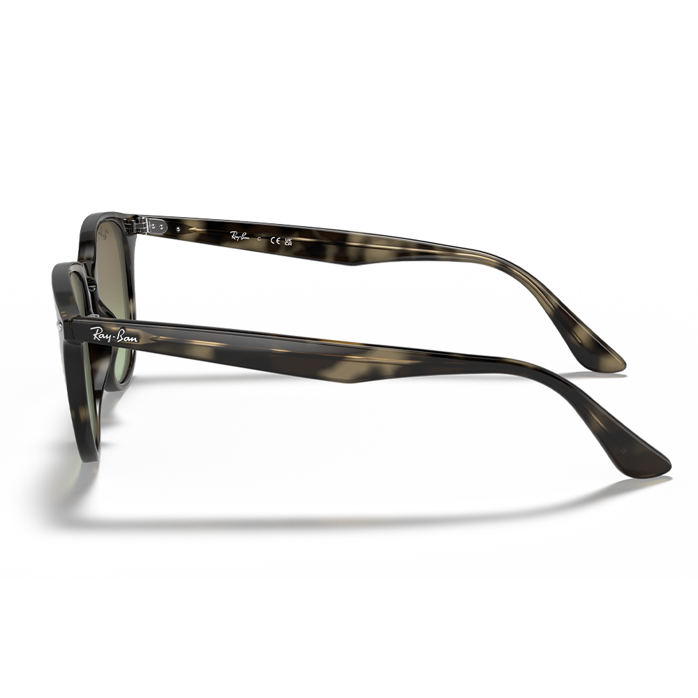 Ray-Ban RB 4259 731/E8 Unisex Güneş Gözlüğü