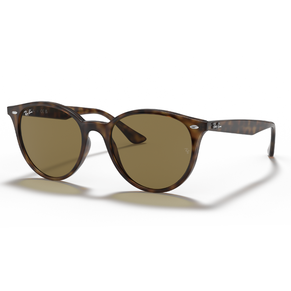 Ray-Ban RB 4305 710/73 Unisex Güneş Gözlüğü