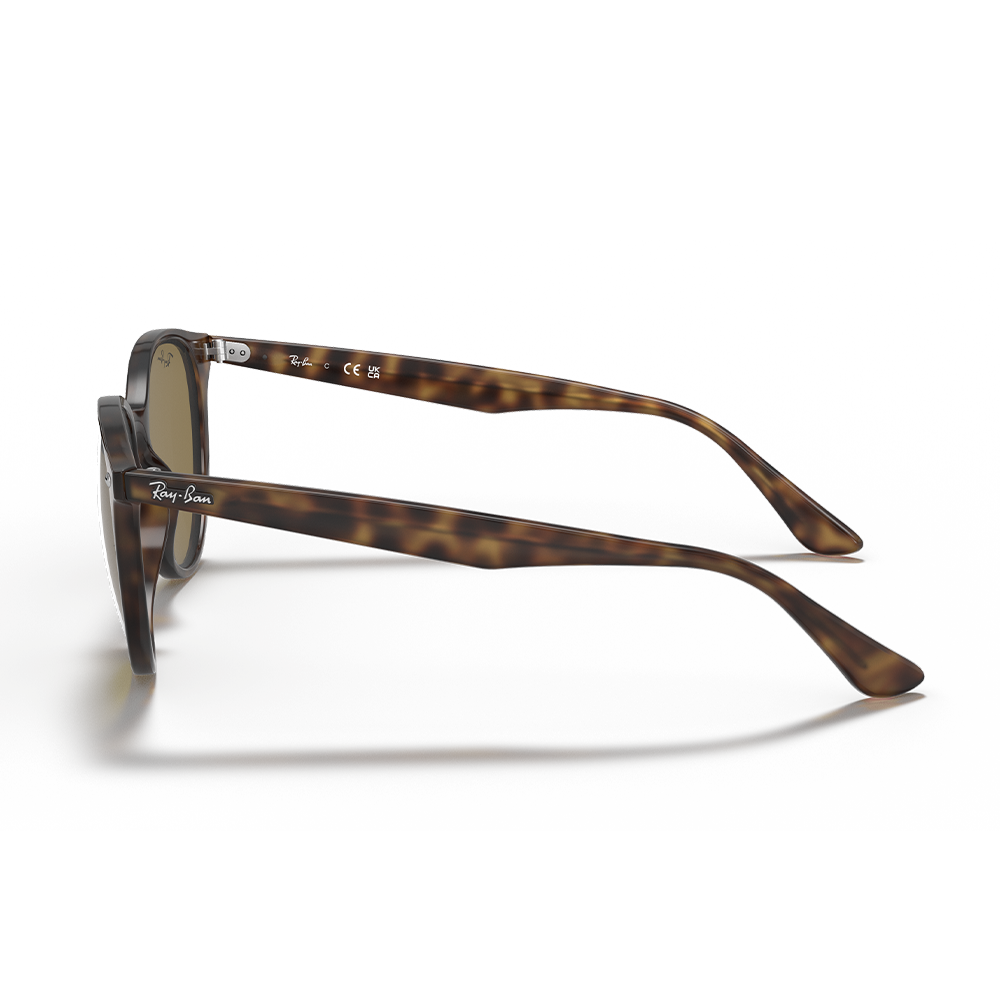 Ray-Ban RB 4305 710/73 Unisex Güneş Gözlüğü