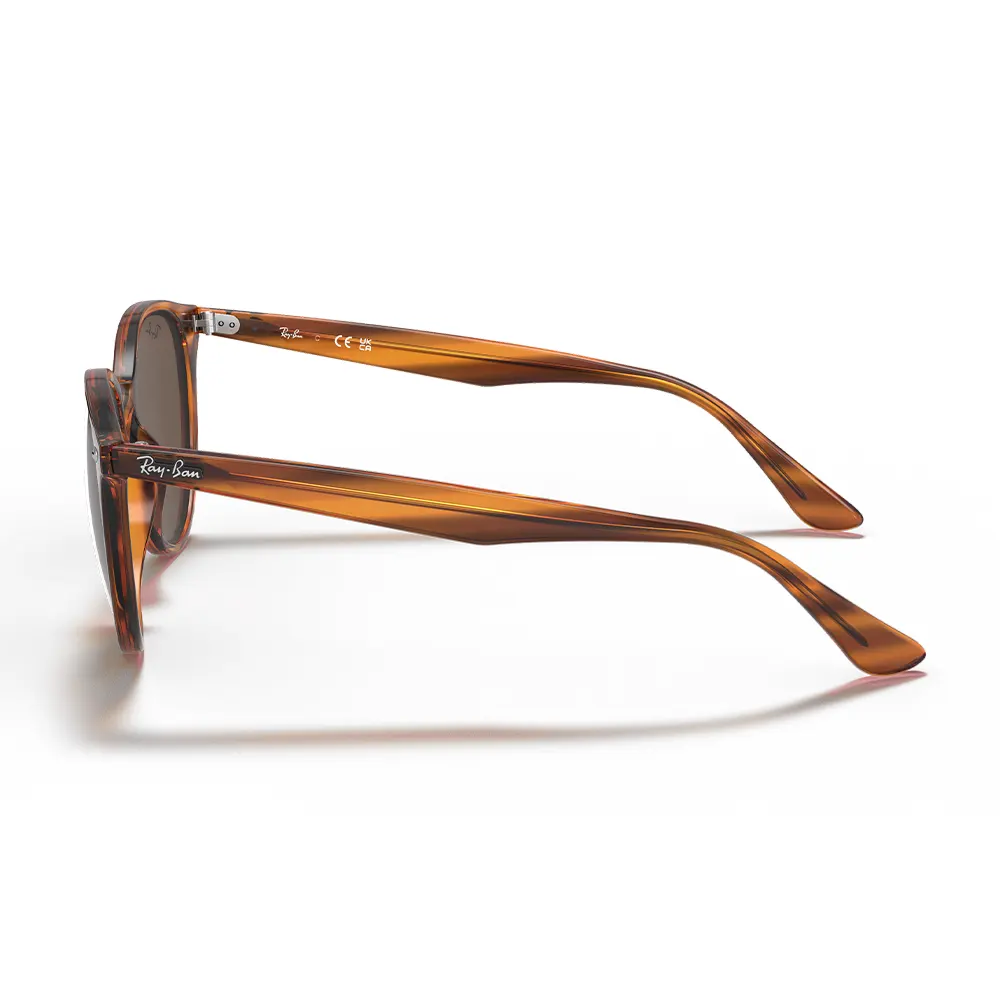 Ray-Ban RB 4305 820/73 Unisex Güneş Gözlüğü