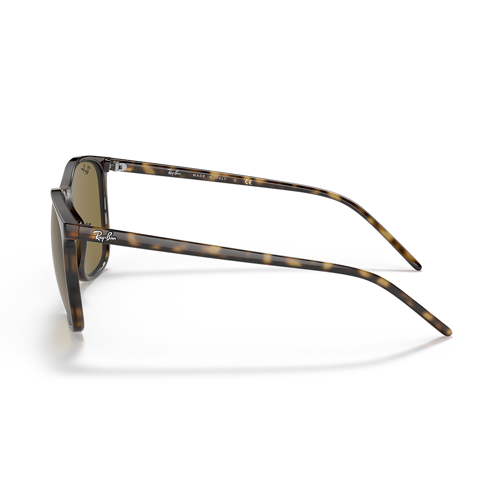 Ray-Ban RB 4387 710/73 Unisex Güneş Gözlüğü