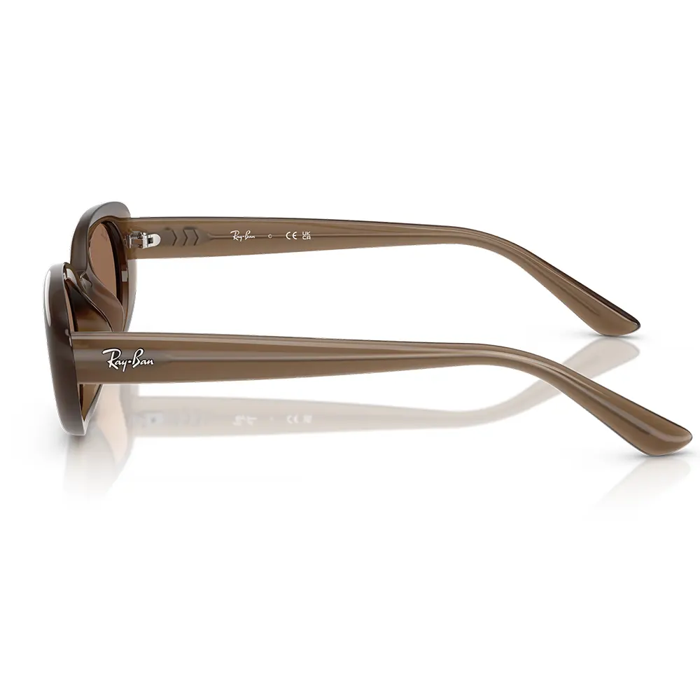 Ray-Ban RB 4441D 677973 Kadın Güneş Gözlüğü