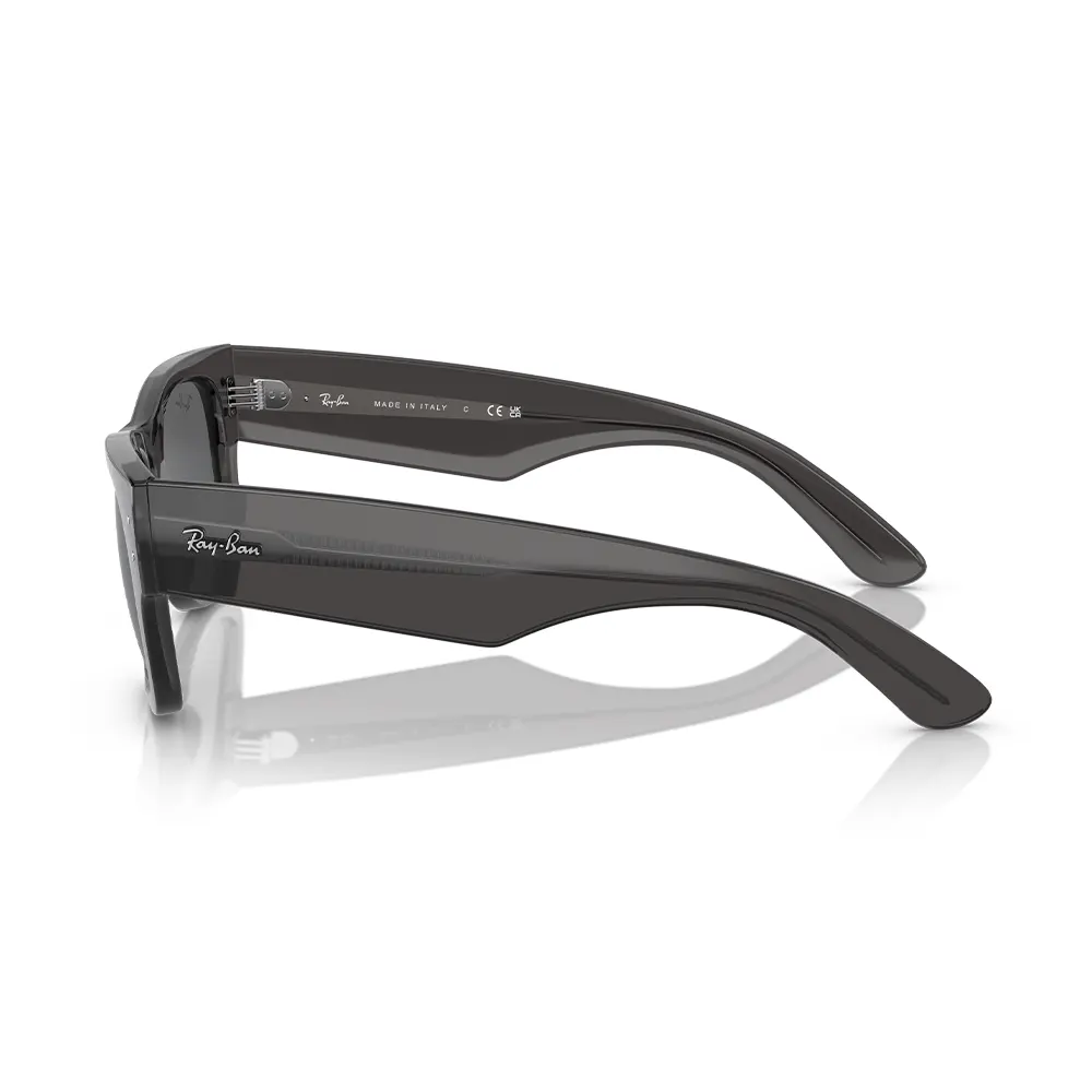 Rayban Güneş Gözlüğü RB0840-S 1406/B1