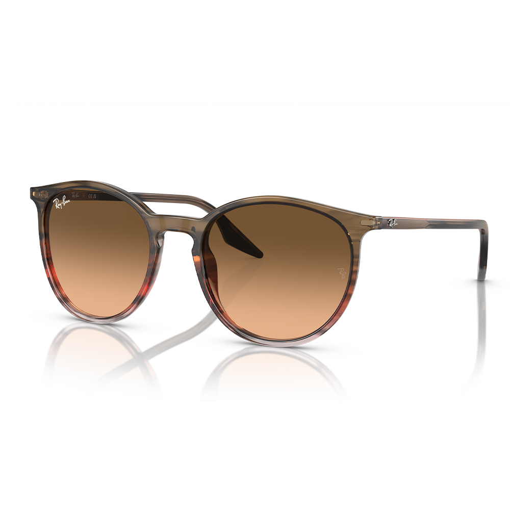 Rayban Güneş Gözlüğü RB2204 1395/3B 51