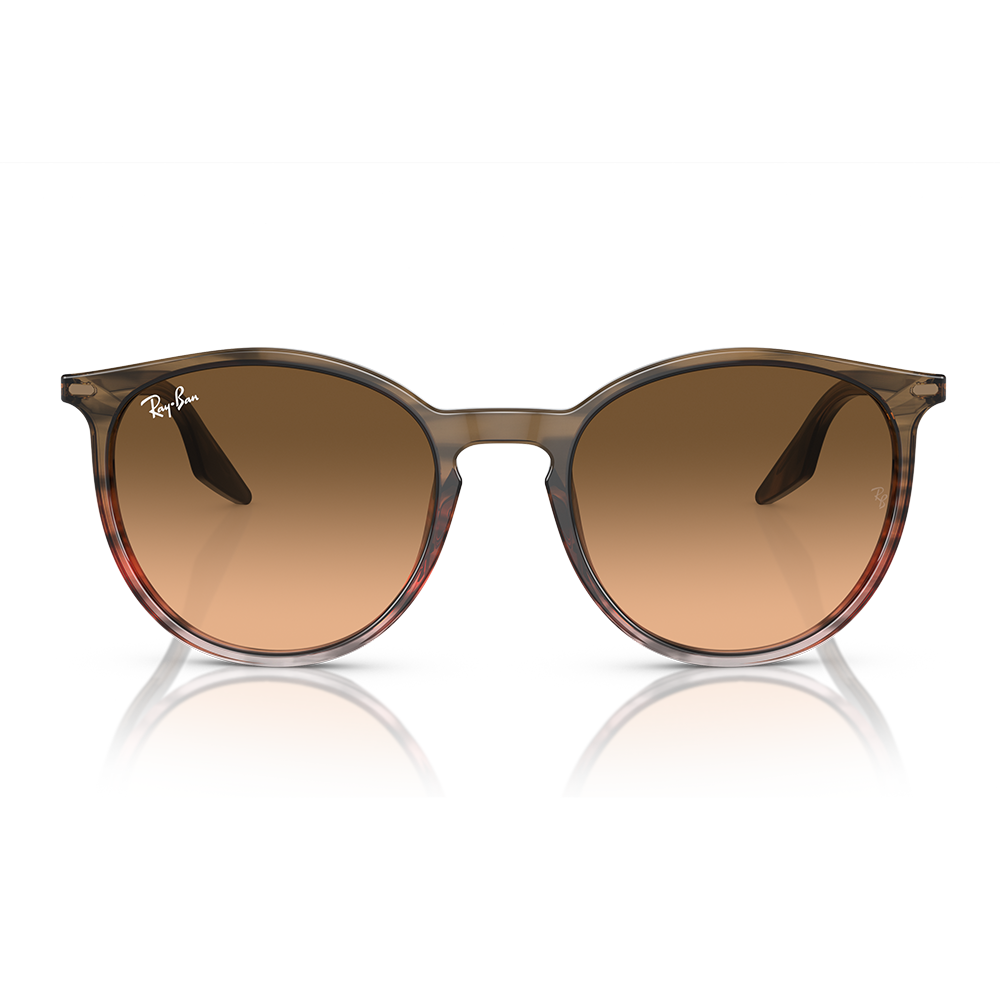Rayban Güneş Gözlüğü RB2204 1395/3B 51