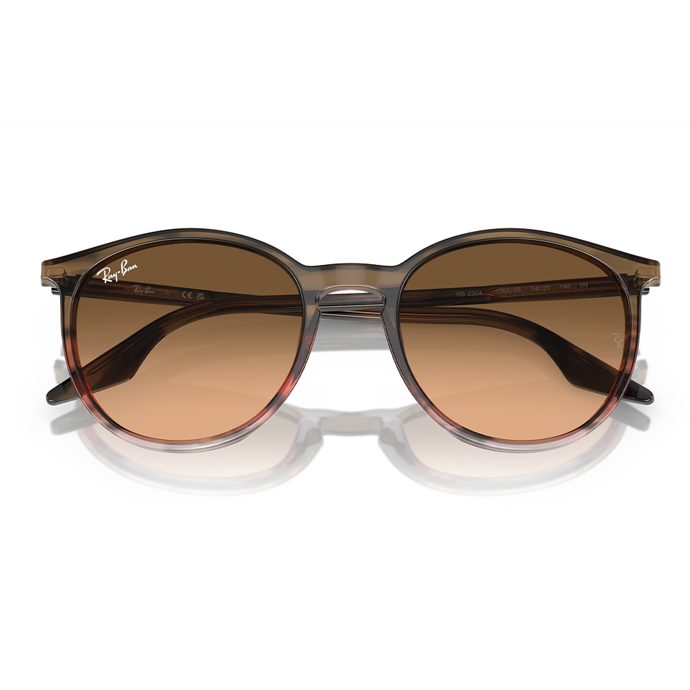 Rayban Güneş Gözlüğü RB2204 1395/3B 51