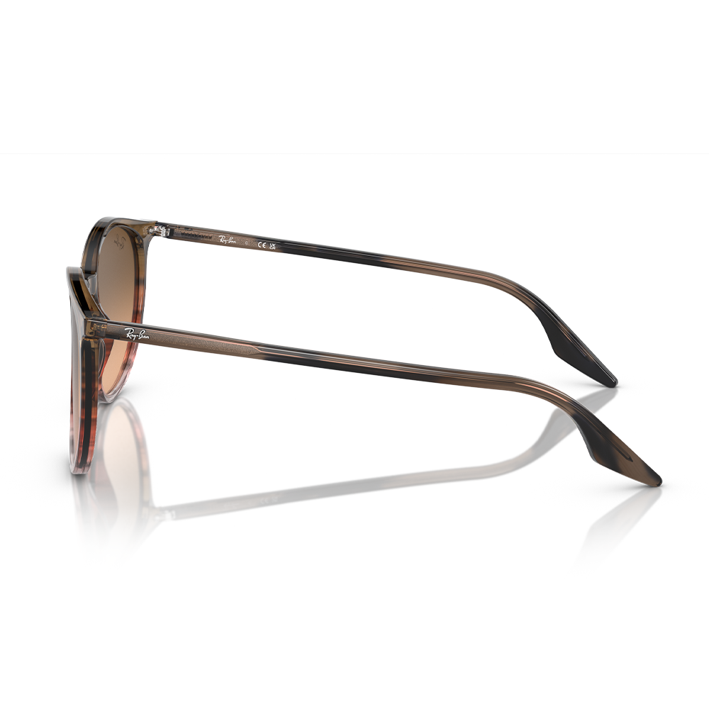 Rayban Güneş Gözlüğü RB2204 1395/3B 51