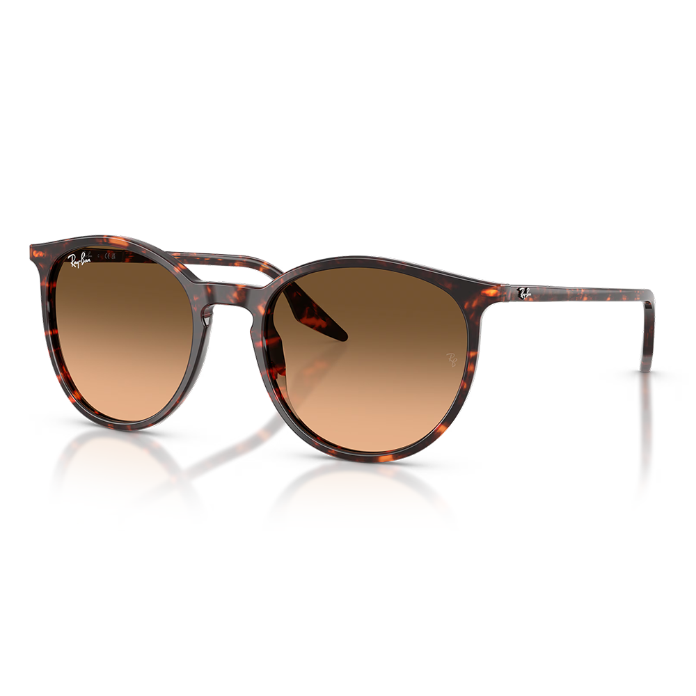 Rayban Güneş Gözlüğü RB2204 1429/3B 51