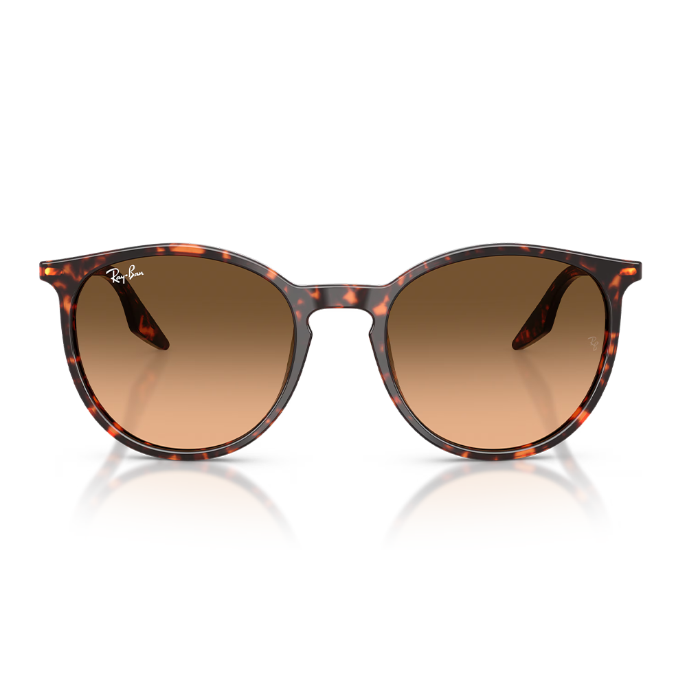 Rayban Güneş Gözlüğü RB2204 1429/3B 51