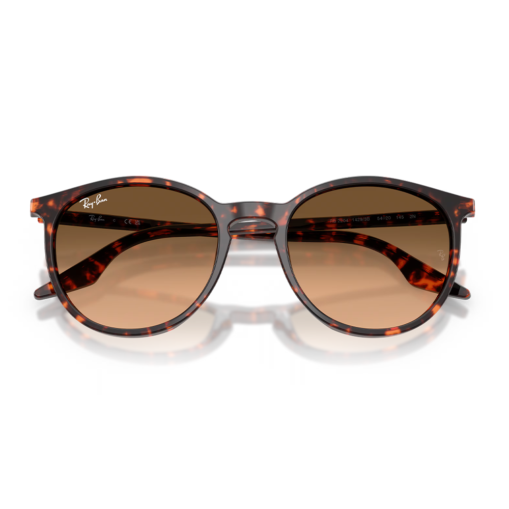 Rayban Güneş Gözlüğü RB2204 1429/3B 51