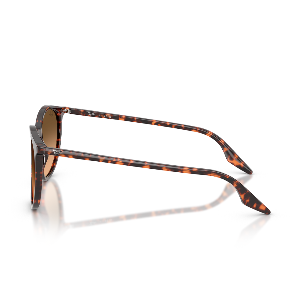 Rayban Güneş Gözlüğü RB2204 1429/3B 51