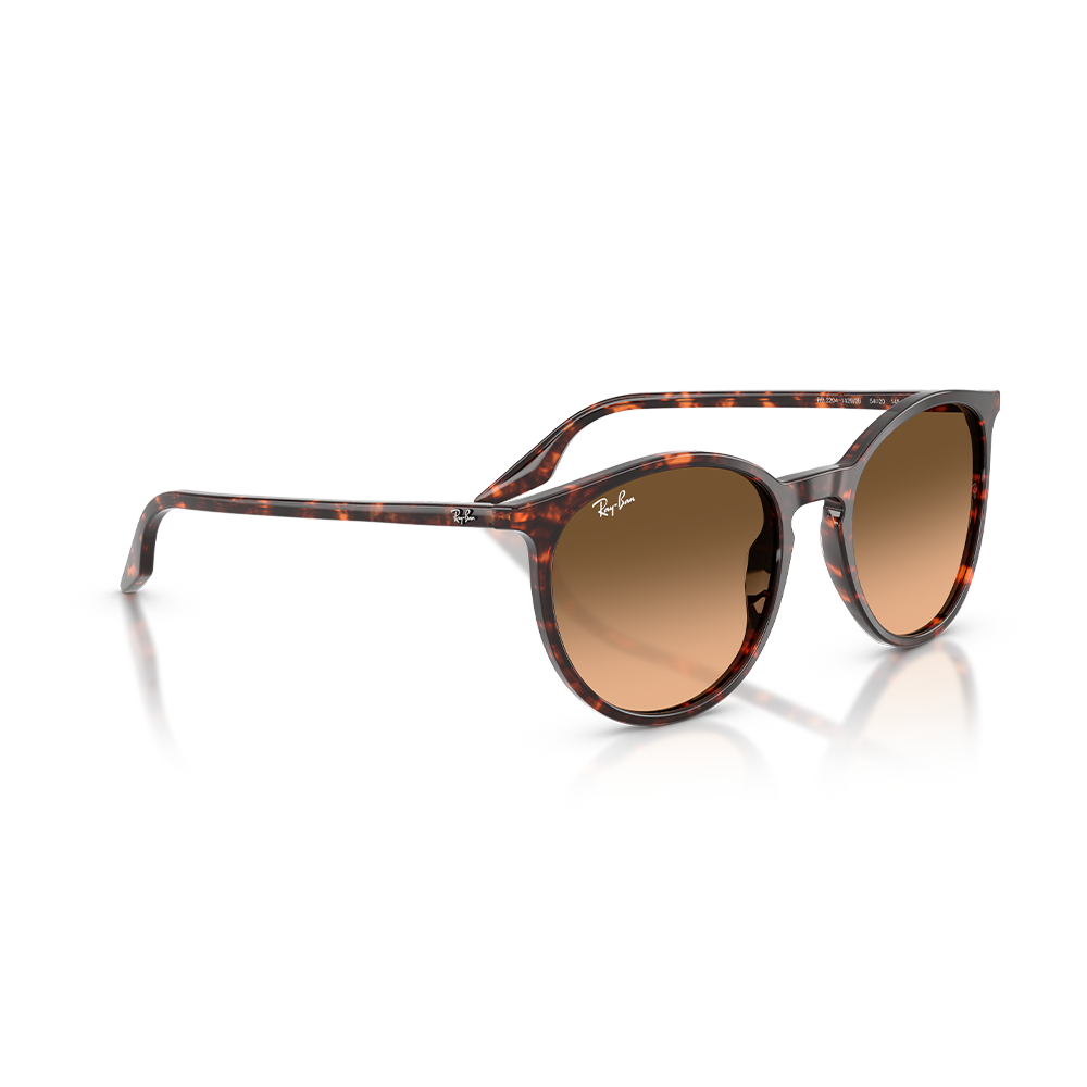 Rayban Güneş Gözlüğü RB2204 1429/3B 51