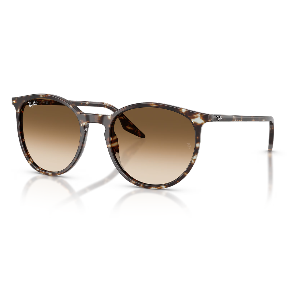 Rayban Güneş Gözlüğü RB2204 1431/51 