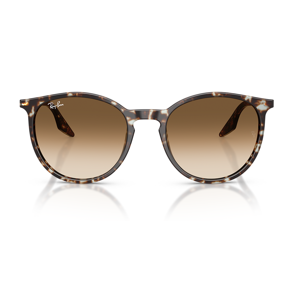 Rayban Güneş Gözlüğü RB2204 1431/51 