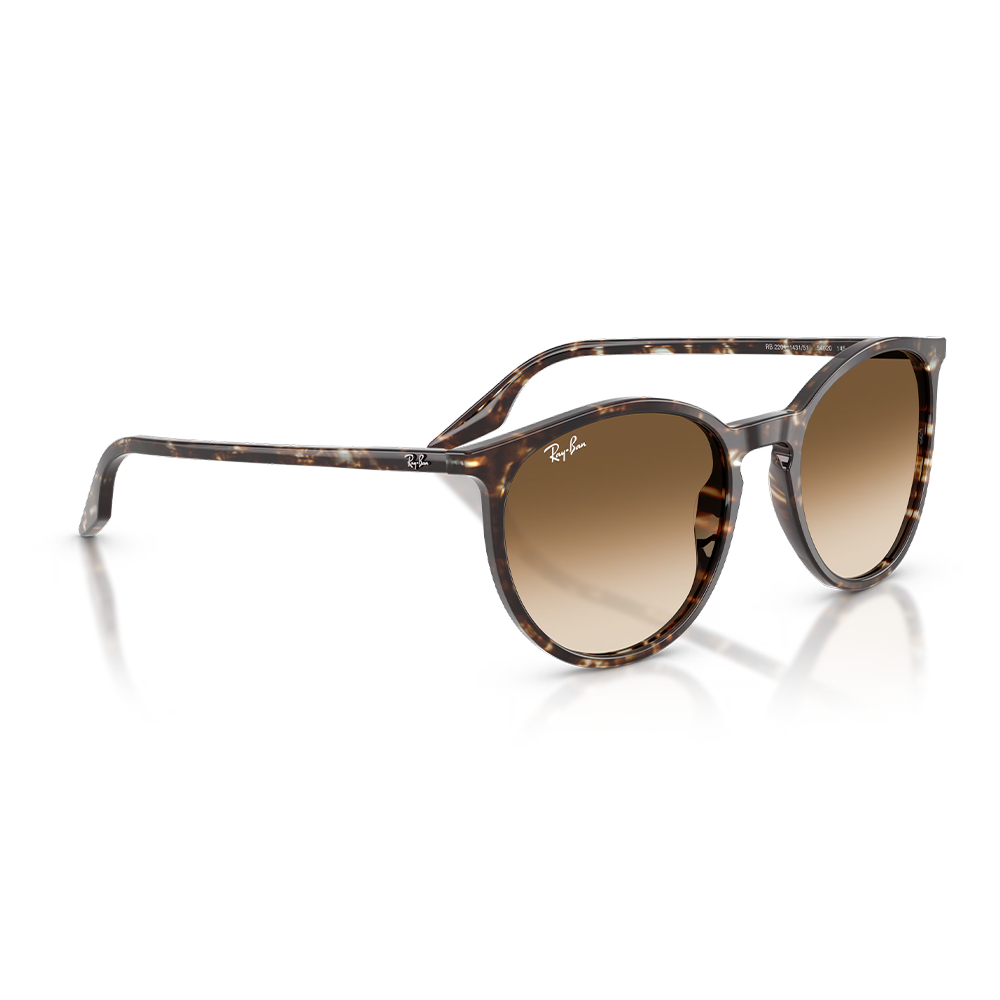 Rayban Güneş Gözlüğü RB2204 1431/51 