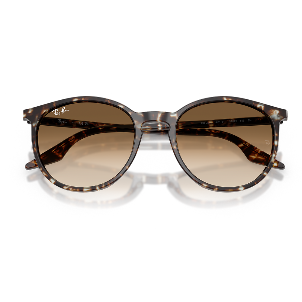 Rayban Güneş Gözlüğü RB2204 1431/51 