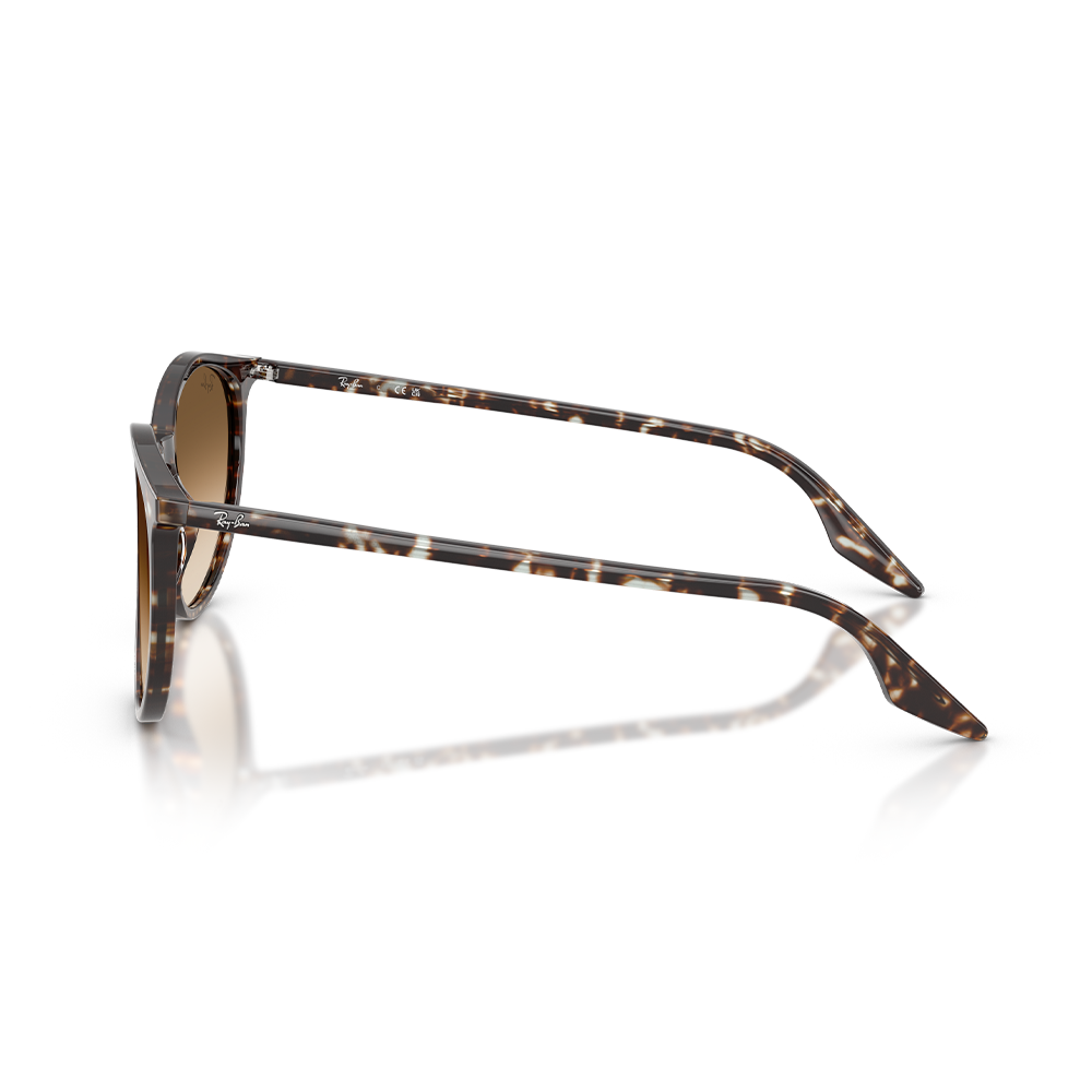 Rayban Güneş Gözlüğü RB2204 1431/51 