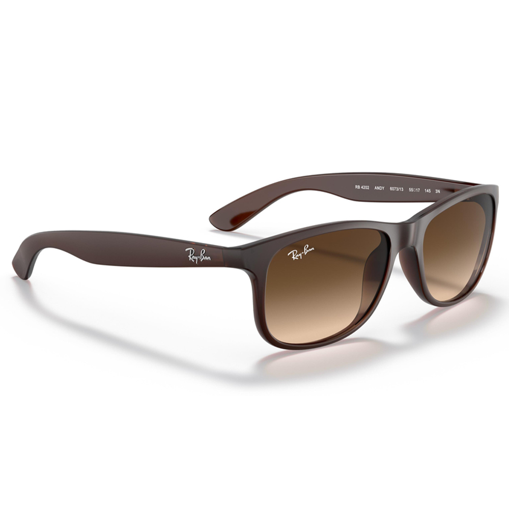 Ray-Ban RB4202 6073/13 Unisex Güneş Gözlüğü