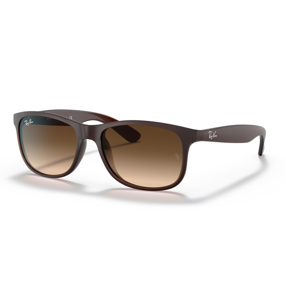 Ray-Ban RB4202 6073/13 Unisex Güneş Gözlüğü