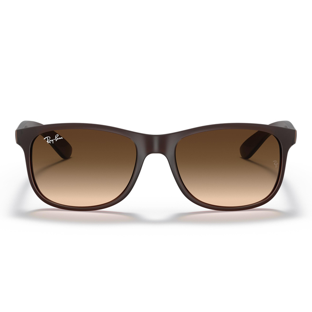 Ray-Ban RB4202 6073/13 Unisex Güneş Gözlüğü