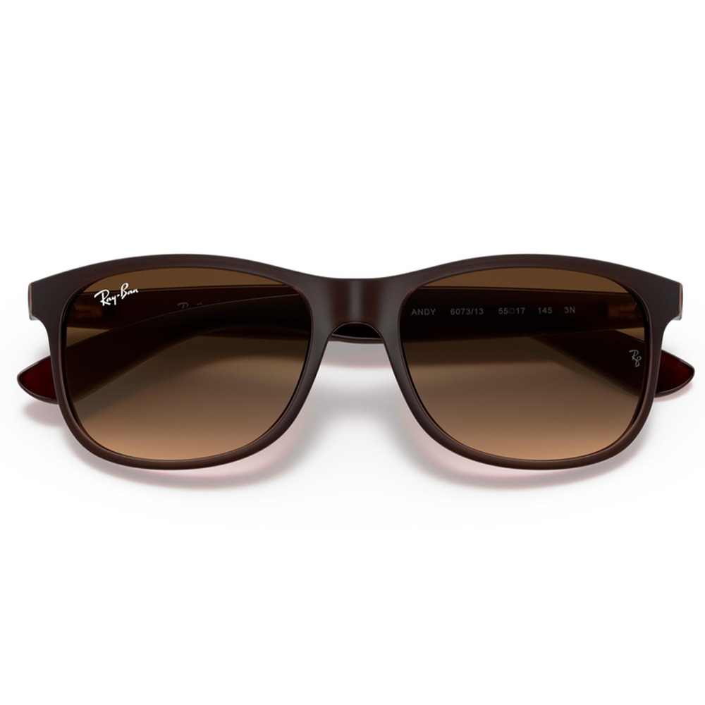 Ray-Ban RB4202 6073/13 Unisex Güneş Gözlüğü