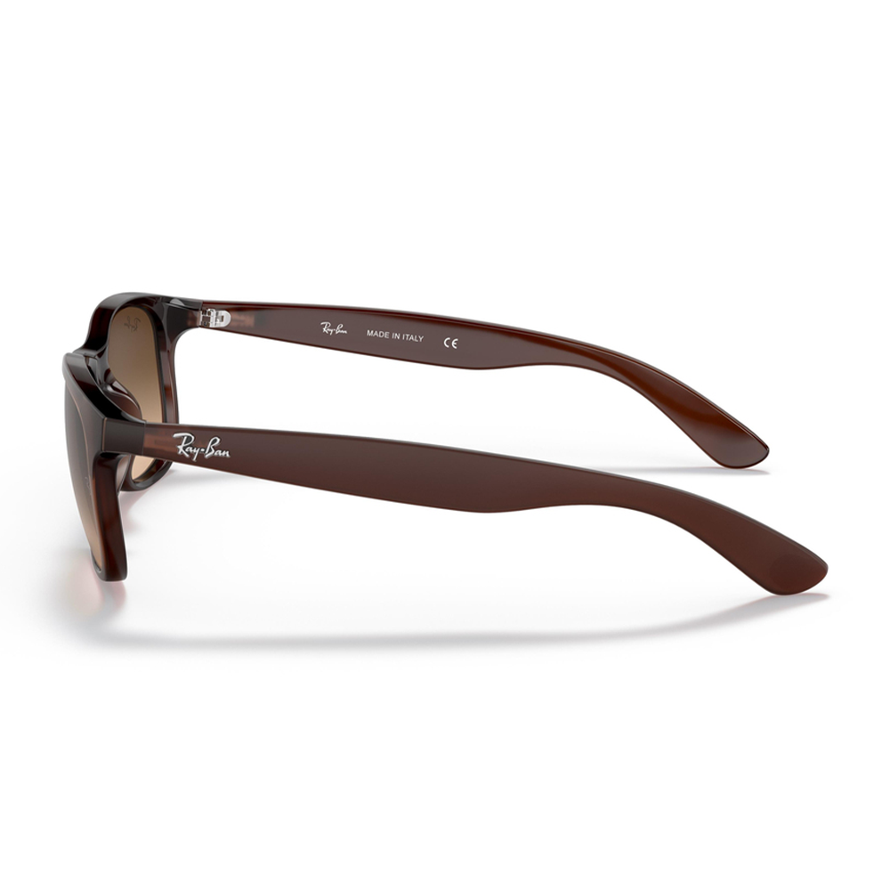 Ray-Ban RB4202 6073/13 Unisex Güneş Gözlüğü