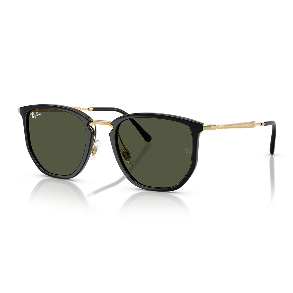 Rayban Güneş Gözlüğü RB4451 6306/31 50