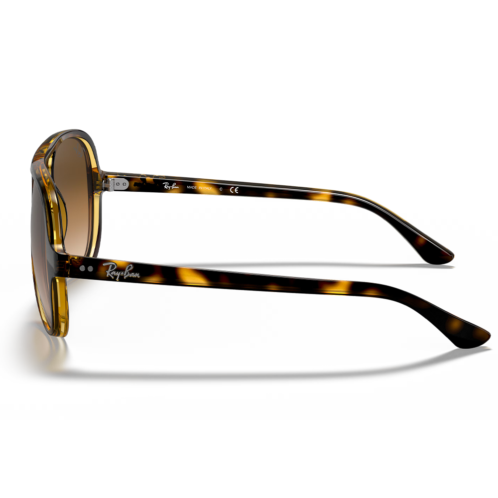 Ray-Ban RB 4125 710/A6 Unisex Güneş Gözlüğü