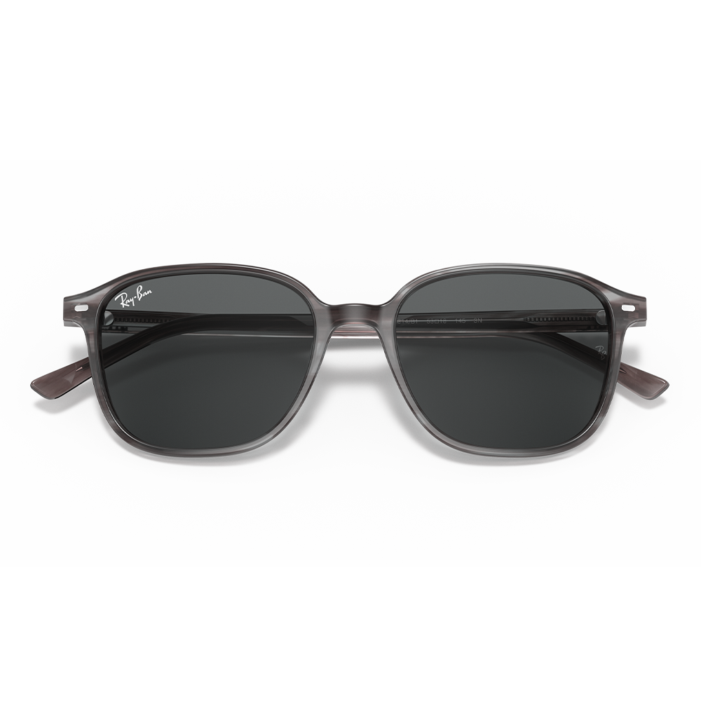 Rayban Güneş Gözlüğü RB2193 (Leonard) 1314/B1 53