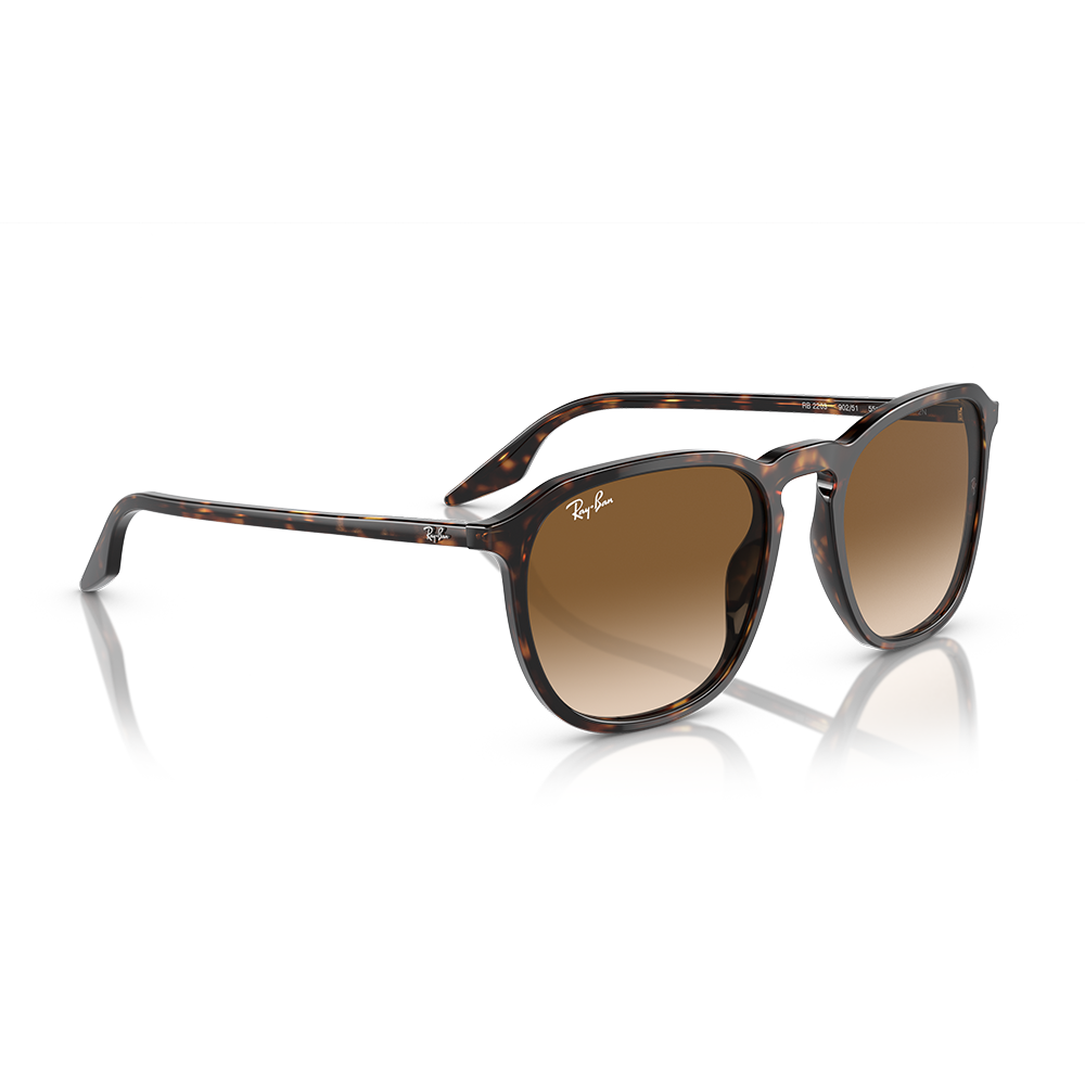 Rayban Güneş Gözlüğü RB2203 902/51 52