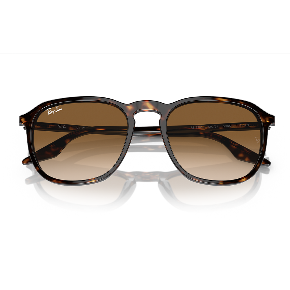 Rayban Güneş Gözlüğü RB2203 902/51 52