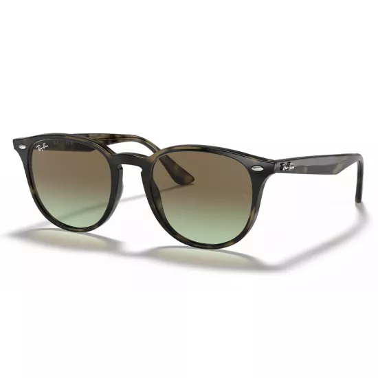 Ray-Ban RB 4259 731/E8 Unisex Güneş Gözlüğü