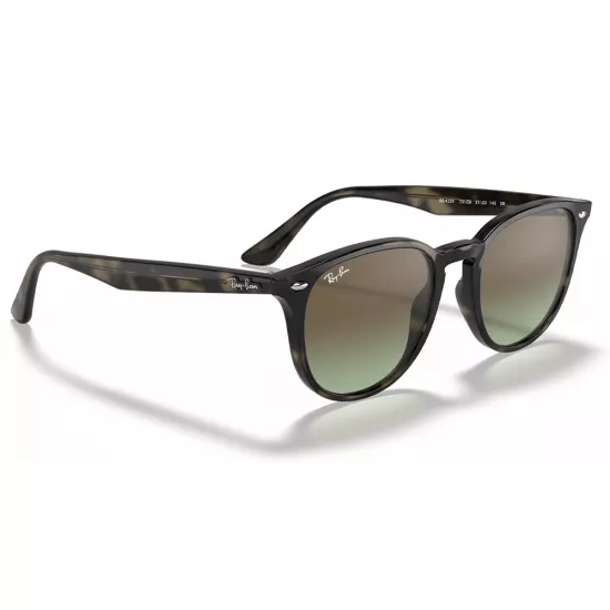 Ray-Ban RB 4259 731/E8 Unisex Güneş Gözlüğü