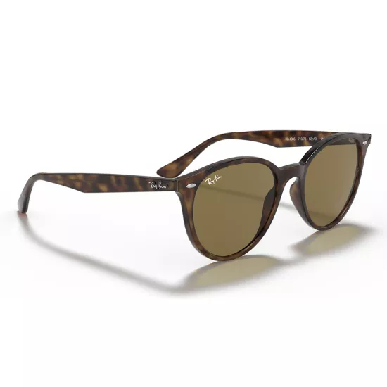 Ray-Ban RB 4305 710/73 Unisex Güneş Gözlüğü