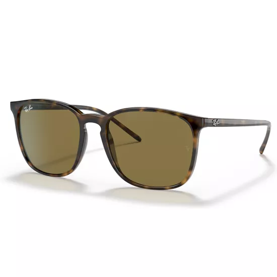 Ray-Ban RB 4387 710/73 Unisex Güneş Gözlüğü