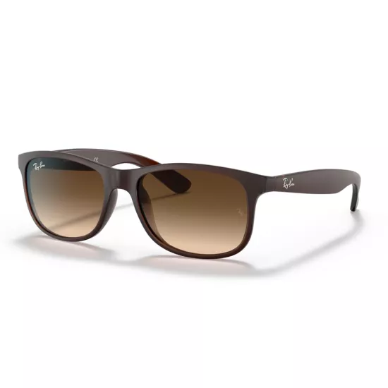 Ray-Ban-Andy RB4202 6073/13 Unisex Güneş Gözlüğü